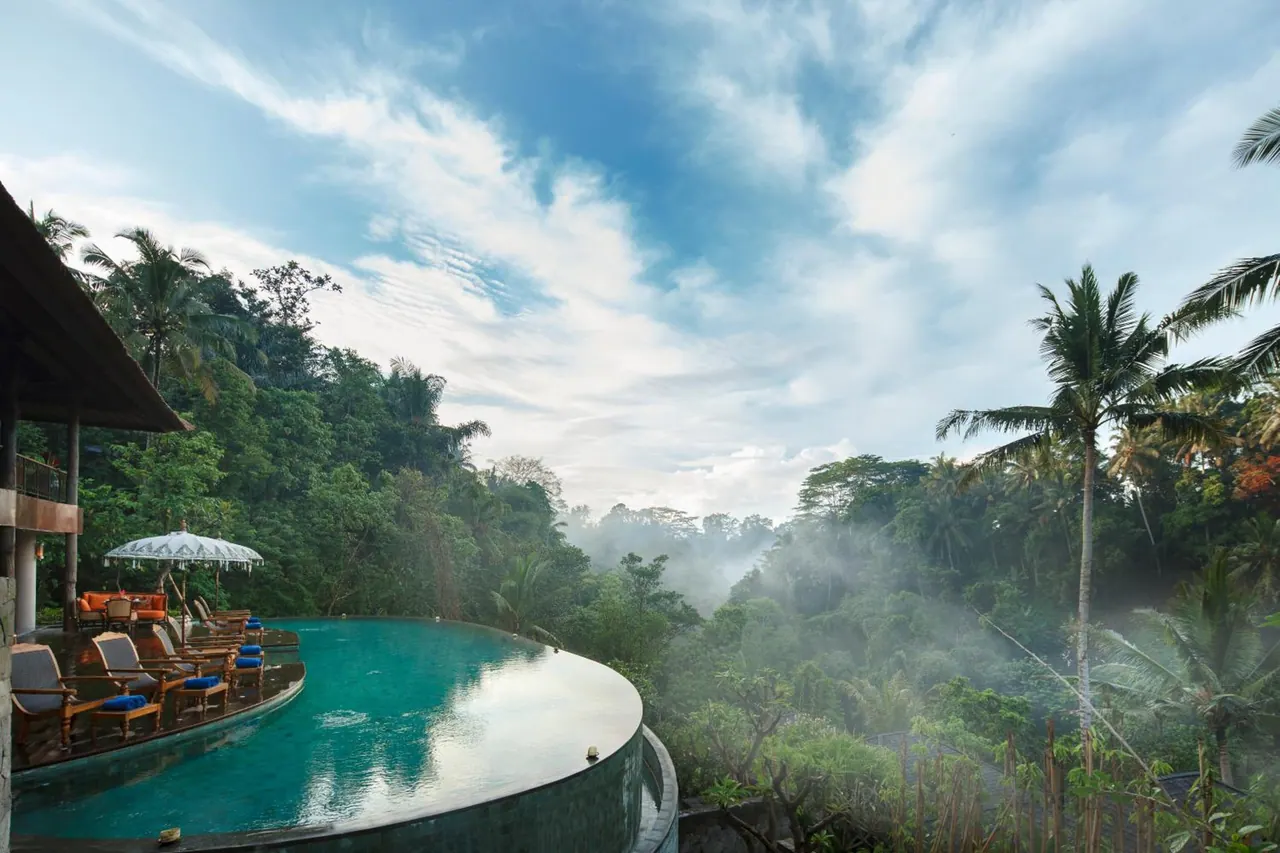 An infinity pool with blue-cushioned loungers and a white parasol overlooks a misty forested valley lined with palm trees.