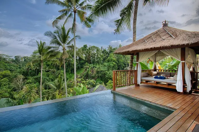 An infinity-edge pool on a timber deck overlooks a forested valley, with a thatched gazebo containing a daybed with white curtains beside it.