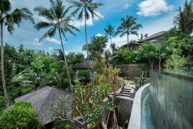 Palm trees, villa roofs and dense tropical vegetation are seen from an elevated spot beside a stone-walled pool.