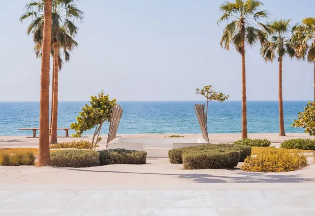 A landscaped beachfront area with palm trees, low hedges and a white sunken seating feature, with the sea visible behind.