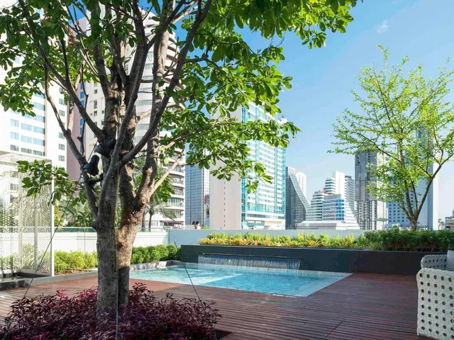 A small rooftop pool with a wall-mounted water spout sits on a timber deck, with a tree in the foreground and high-rise towers behind.