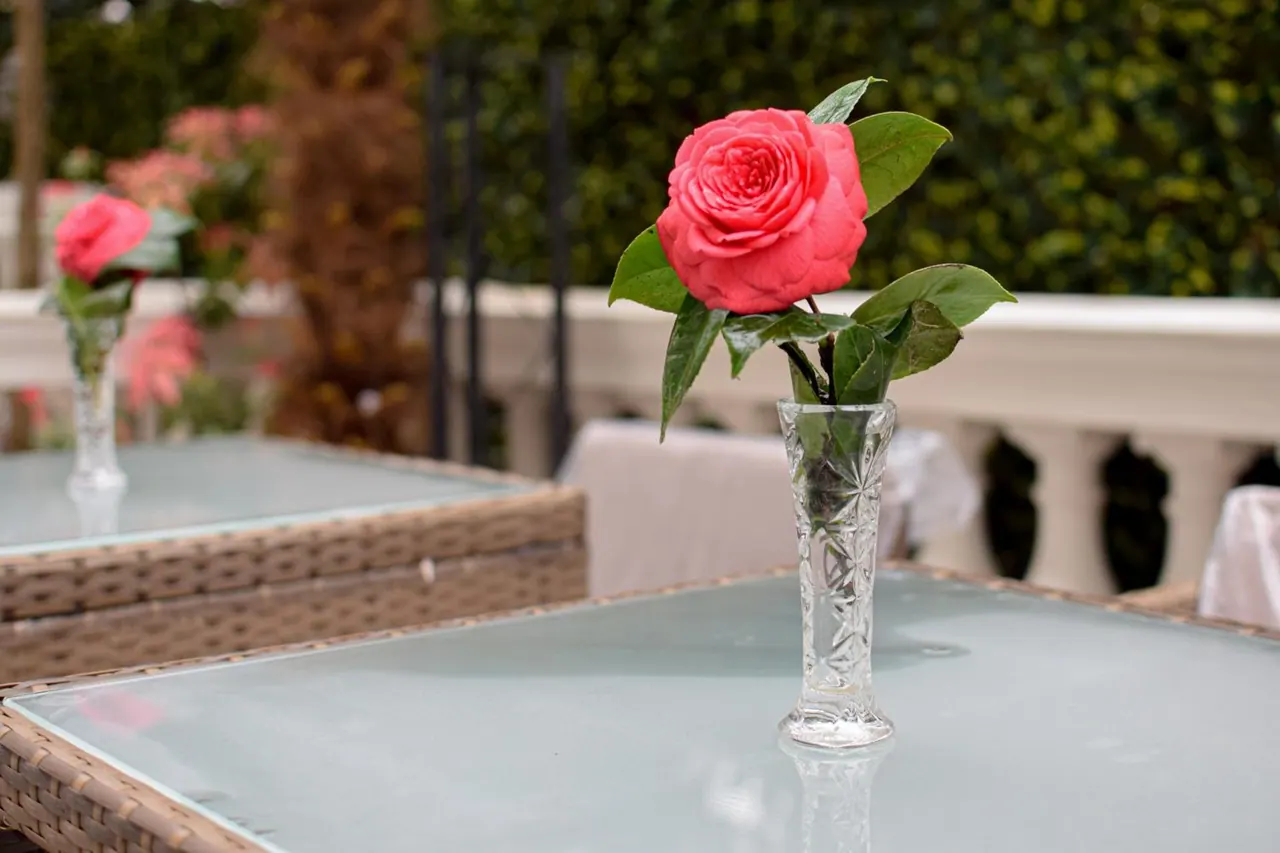 A single pink rose in a cut-glass vase stands on a glass-topped table on an outdoor terrace, with a hedge and balustrade behind.