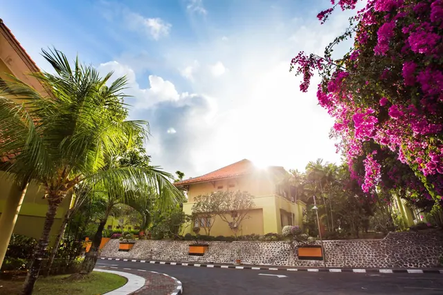 A curved paved driveway runs past palm trees, a stone retaining wall and pink bougainvillea, with a yellow building with a terracotta roof behind.