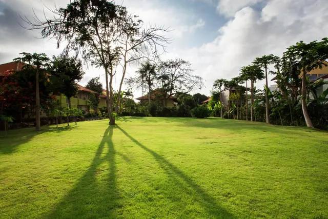 A wide grassy lawn with tall trees and low buildings in the background under a partly cloudy sky, with long tree shadows across the grass.