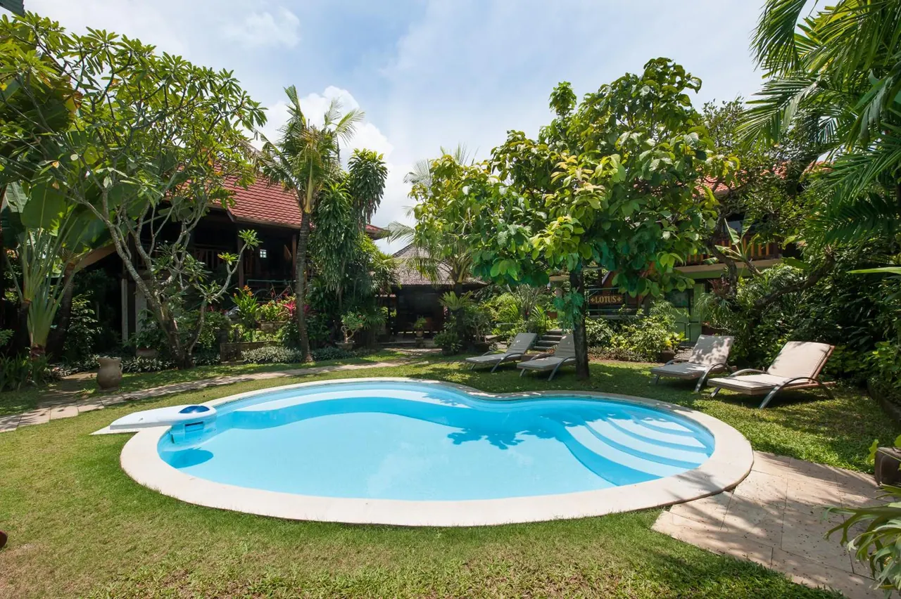A kidney-shaped swimming pool sits in a lawned garden with sun loungers, frangipani and palm trees, and a timber building behind.