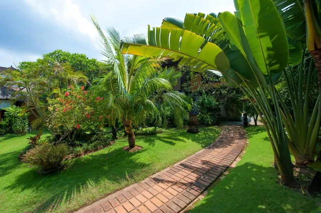A brick path curves through a sunlit lawn lined with palm trees, a traveller's palm and flowering shrubs.