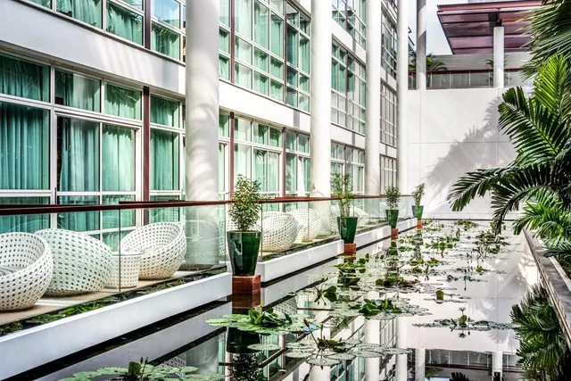 An indoor atrium with a reflecting pool of lily pads, white woven armchairs on a raised ledge, potted plants and palm trees beside glass windows with green curtains.