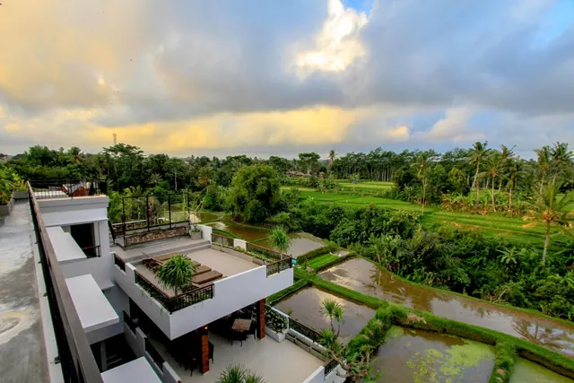Elevated view over a white building's terraces and balcony toward flooded rice paddies, palm trees and dense greenery under a cloudy sky.