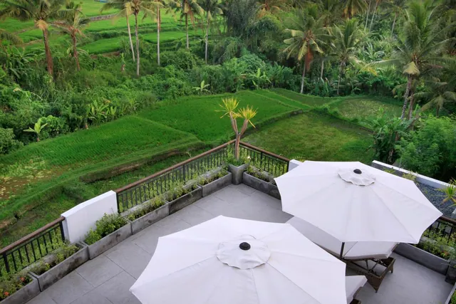 A terrace with white parasol umbrellas and wicker furniture overlooks green rice terraces and palm trees.