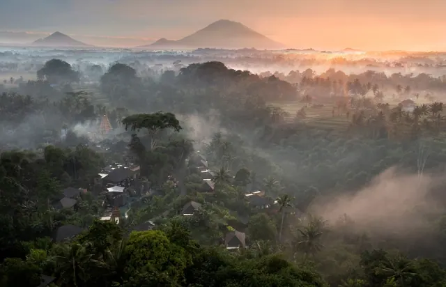 Aerial view over a cluster of hotel roofs among misty tropical trees, with rice fields and a volcano in the background at dawn.
