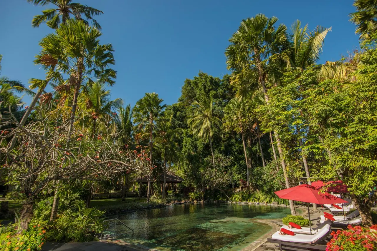 A pool surrounded by tall palm trees and leafy garden, with red parasol umbrellas and white sun loungers along the edge.