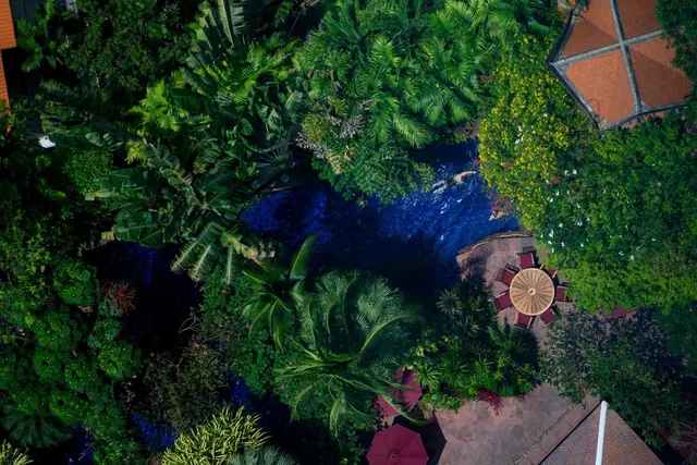 Aerial view of a dark blue pool surrounded by tropical trees, with round lounge seating with red cushions, red umbrellas, and orange-tiled roofs at the edges.