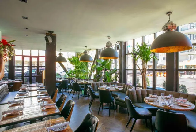 A restaurant dining room with wooden tables set with plates and glasses, upholstered banquette seating, large pendant lamps, potted plants and windows looking onto a street with parked cars.