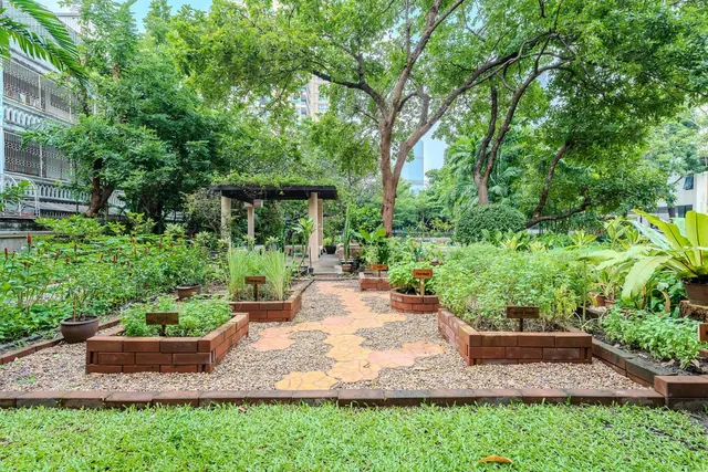 A garden with raised brick planting beds, a gravel area with a stone path, a small pergola, and tall trees behind.