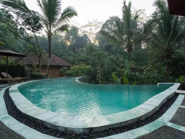 A curved freeform swimming pool with pale stone coping and dark pebble edging, backed by palm trees and dense jungle, with a wooden bungalow and sun loungers at the left.