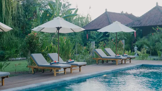 A swimming pool with a wooden deck, grey-cushioned sun loungers and white parasols, with tropical garden and tiled Balinese-style roofs behind.
