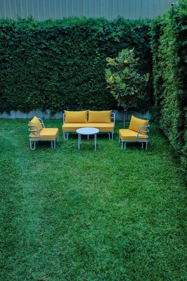 A lawn garden enclosed by tall hedges holds two yellow-cushioned white metal armchairs, a matching sofa and a small round white table.