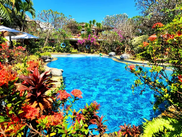 A large freeform swimming pool with blue water is surrounded by flowering shrubs, frangipani trees and white umbrellas, with a low building visible behind the garden.