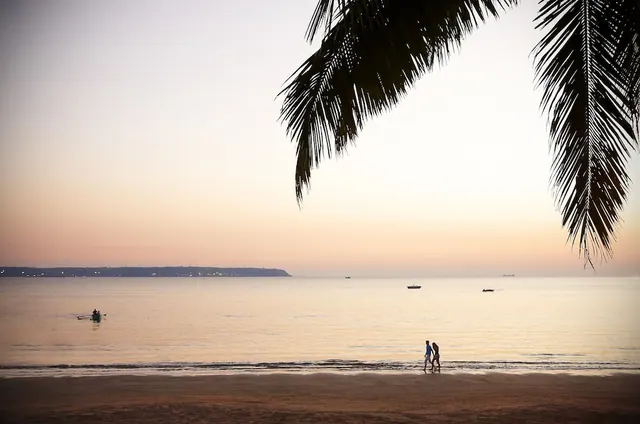 A sandy beach borders calm sea beneath palm leaves at sunset.