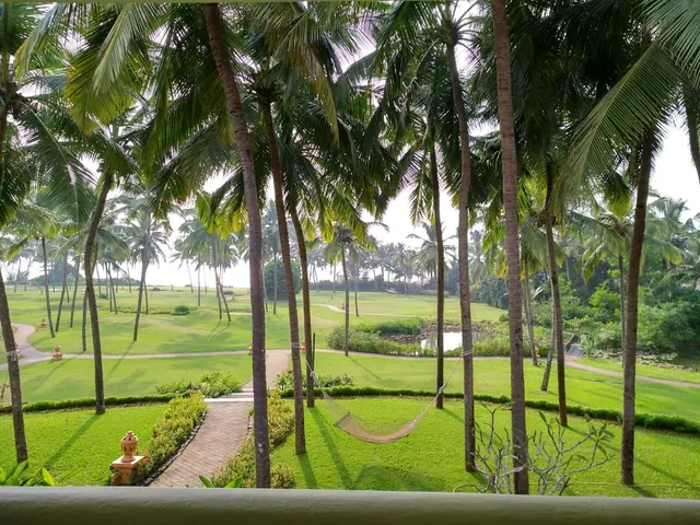 A view across a landscaped tropical garden with coconut palms, pathways, a hammock and a pond.