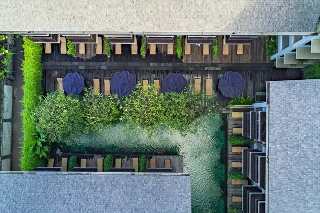 Overhead aerial view of a pool with wooden sun loungers, blue striped umbrellas, and green planting along its edges.
