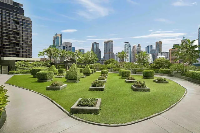 A rooftop lawn with clipped shrubs in stone planters, with a row of high-rise towers visible behind it under a blue sky.