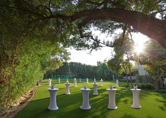 A lawn under large trees holds rows of high tables with white covers and small flower arrangements, set out for an event, with the sun low on the horizon.