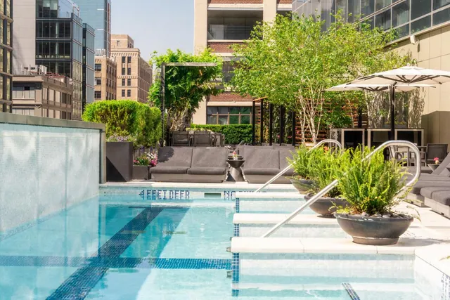 A rooftop swimming pool with pale tiled edges, potted plants, grey sun loungers and white shade umbrellas, with city buildings rising behind.