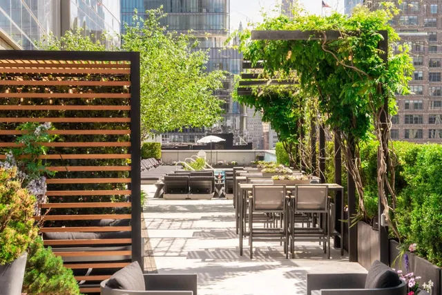 A rooftop terrace with a slatted wood screen, a vine-covered pergola, high dining tables and chairs, and office towers in the background.
