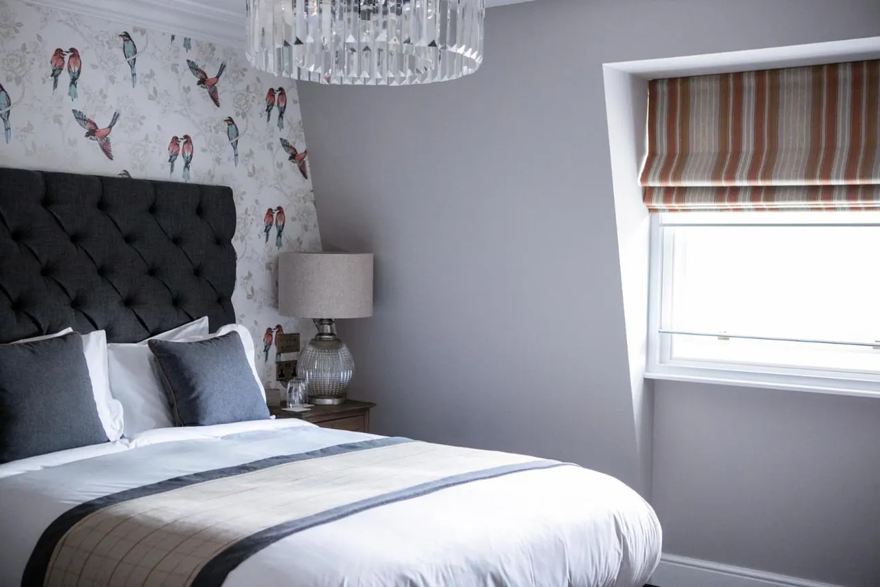 A double bed with a tufted dark headboard sits beside a bedside lamp, bird-patterned wallpaper, and a window with a striped roman blind.