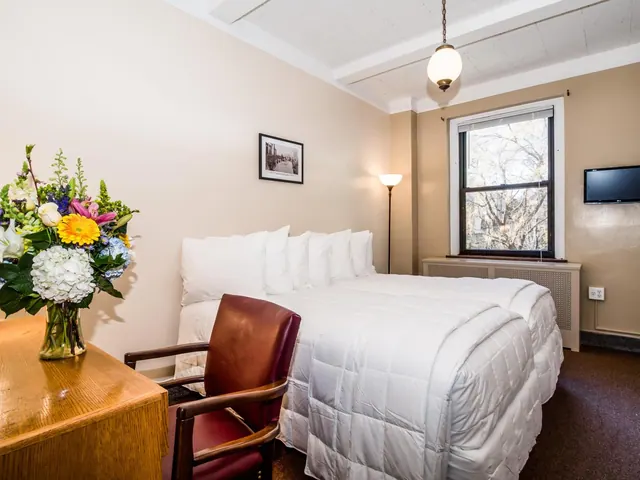 A hotel bedroom with a double bed under white bedding, a wooden desk with a flower vase, a leather chair, a wall-mounted television, and a window showing bare trees outside.