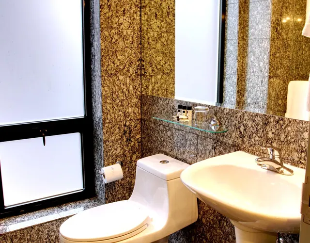 A bathroom with granite-clad walls, a one-piece toilet, a pedestal sink with a chrome tap, a mirror and a glass shelf holding small amenities beside a frosted window.