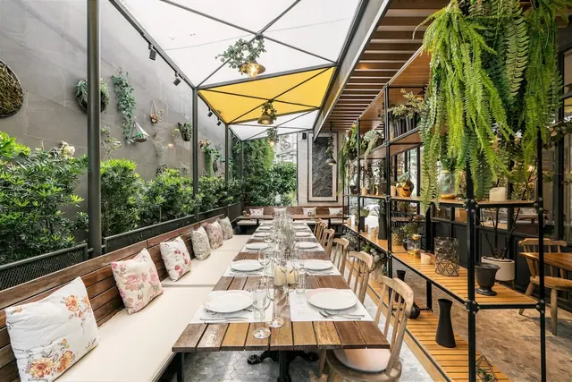 A long wooden dining table set with plates and glasses sits under a canopy beside a bench with floral cushions, with hanging ferns and plants along the walls and shelves.