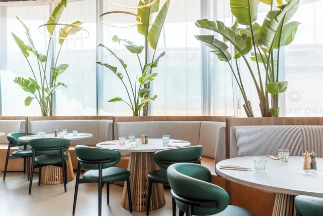 A restaurant dining room with round tables, green upholstered chairs, banquette seating and tall potted banana plants beside sheer-curtained windows.