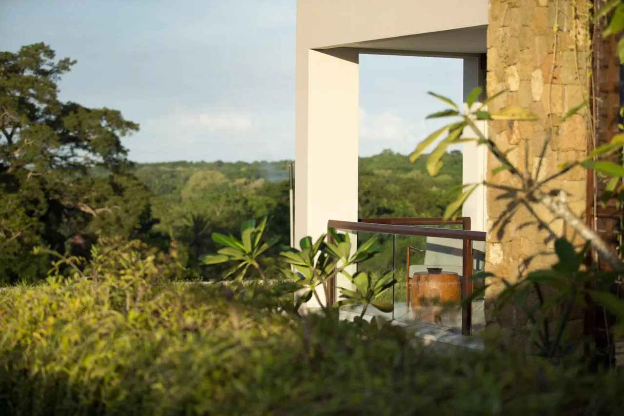 A glass-railed balcony of a stone and concrete building overlooks a dense green forest under a pale sky, with a large ceramic pot on the terrace.