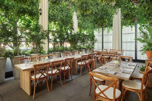 A dining room with long wooden tables, cross-back chairs and set wine glasses sits beneath hanging and potted greenery, with white curtains at the windows.