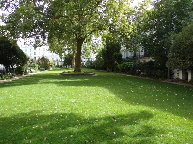 A sunlit lawn with a large tree on a circular bed, with white terraced buildings and hedges behind.