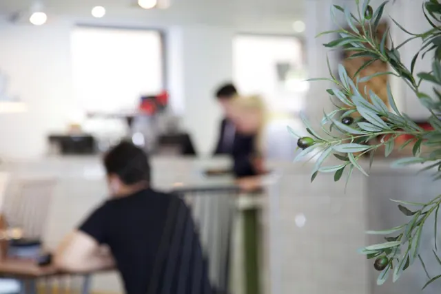 A blurred indoor dining area shows a seated person in a black top at a table, another person behind a counter, and an olive branch in the foreground.