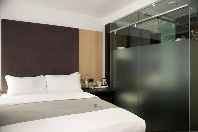 A double bed with white pillows and a dark upholstered headboard stands beside a nightstand holding a kettle and a decanter, with a glass-walled shower area to the right.
