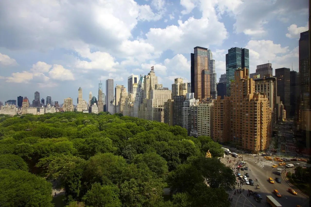 Elevated view over a dense green park canopy toward a skyline of tall buildings, with traffic moving on the street below.
