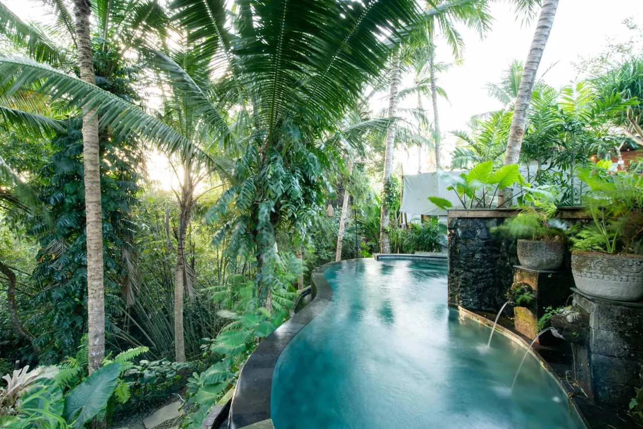 A curved swimming pool with stone walls and water spouts runs through a lush jungle setting of tall palm trees.