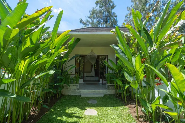 A single-storey bungalow entrance is framed by tall heliconia plants, with a stepping-stone path across the lawn and a pendant lamp visible through the open doorway.