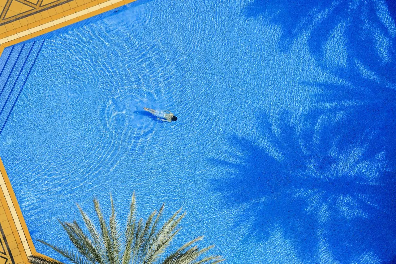 Overhead view of a large blue swimming pool with a yellow tiled edge, one swimmer, and palm tree shadows on the water.